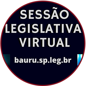 Transparencia e sessoes legislativas online